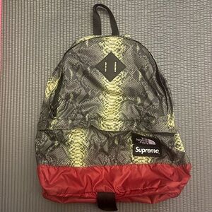 Supreme The North Face Snakeskin Lightweight Day Pack